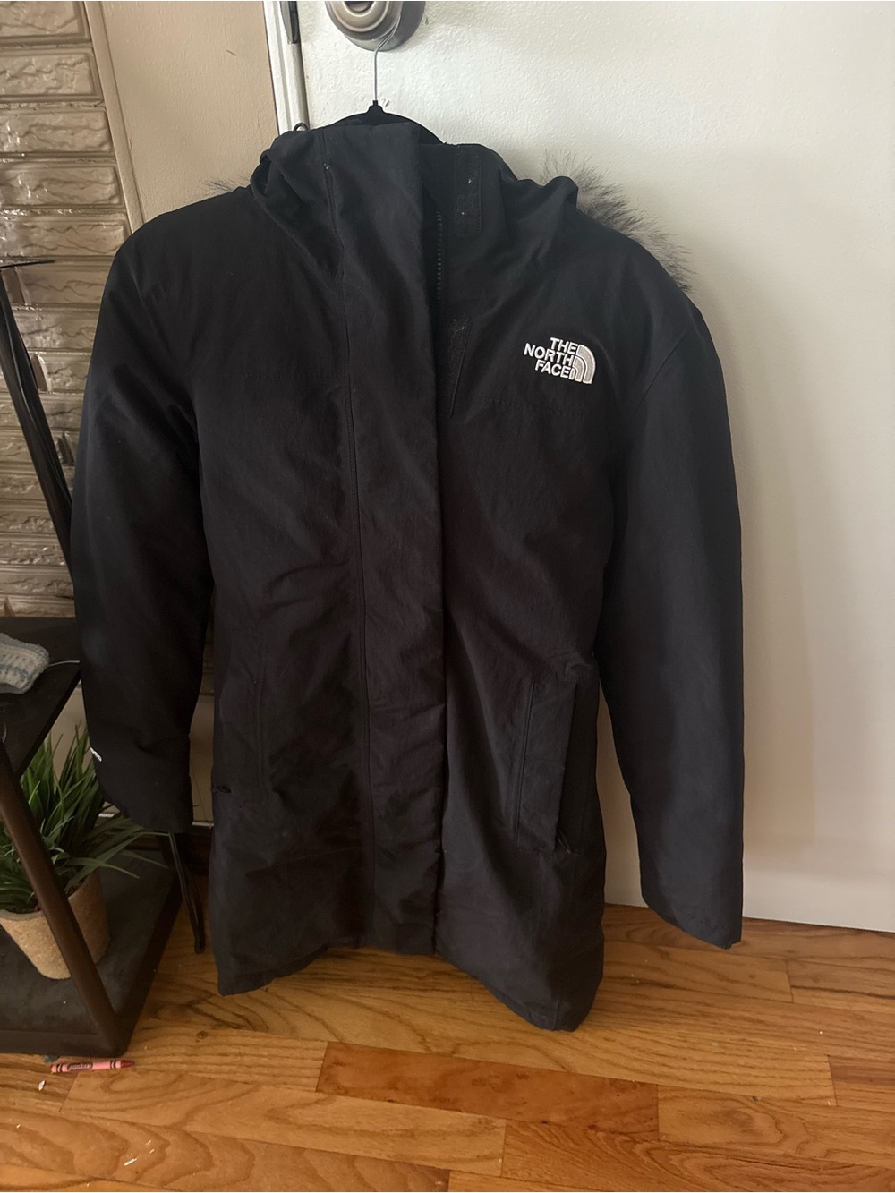 The North Face Women's Black Hooded Puffer Coat